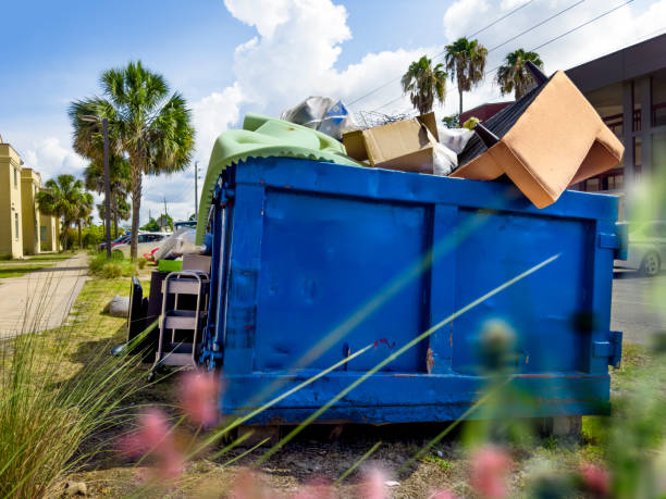 Yard Cleanup Services in St John, IN